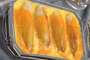 Gratin d'endives au fromage et crème bechamelle
