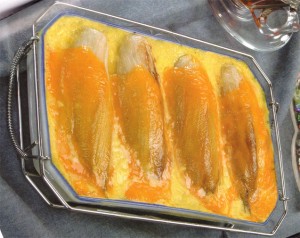 Gratin d'endives au fromage et crème bechamelle