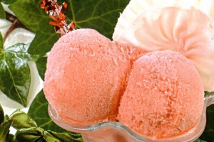 Sorbet aux fraises